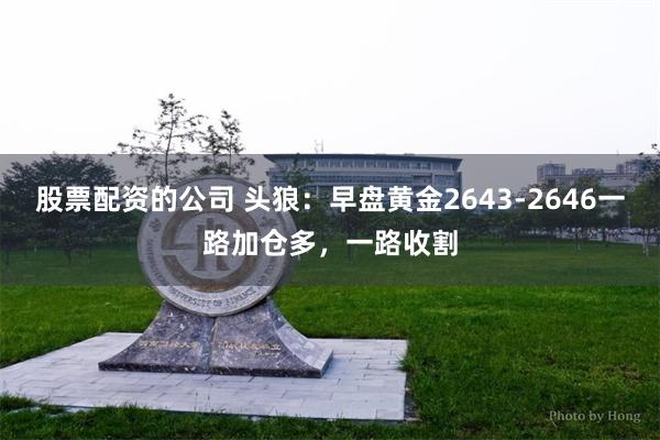 股票配资的公司 头狼：早盘黄金2643-2646一路加仓多，一路收割