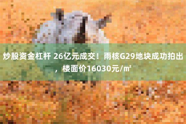 炒股资金杠杆 26亿元成交！雨核G29地块成功拍出，楼面价1