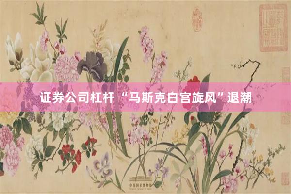 证券公司杠杆 “马斯克白宫旋风”退潮