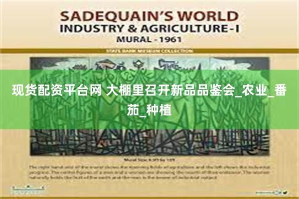 现货配资平台网 大棚里召开新品品鉴会_农业_番茄_种植